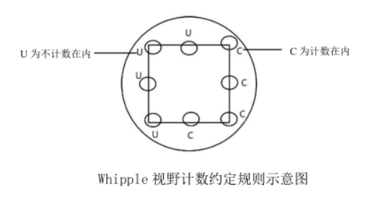 精準(zhǔn)檢測(cè)地表水中浮游植物的方法